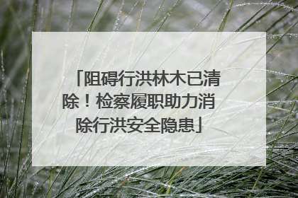 阻碍行洪林木已清除！检察履职助力消除行洪安全隐患